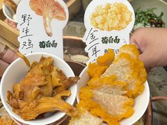 -菌自由丨野生菌火锅特色庭院餐厅(丽江古城店)
