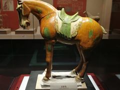 -宁夏博物馆