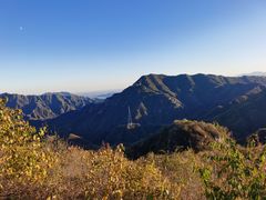 -大岭沟猕猴桃谷风景区
