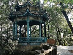 -乌山风景区