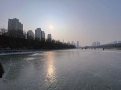 -前关湿地公园