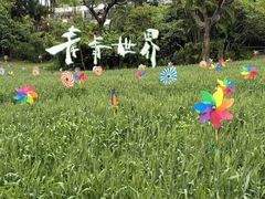 -青青世界