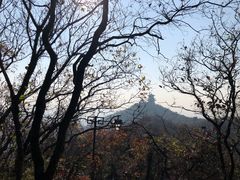 -杭州半山国家森林公园