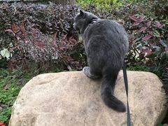 -合肥滨湖国家森林公园