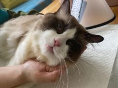 -美迦爱-牙专科·兔科·骨科诊疗中心(北苑店)