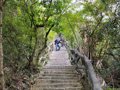 -梧桐山风景名胜区