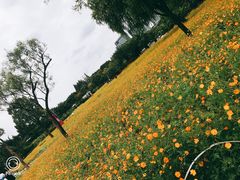 -大宁灵石公园西门票处