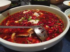 掌柜水煮鱼-天府掌柜(九眼桥店)