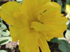 -长春公园(普阳街道)