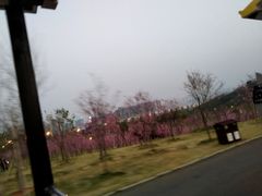-凤岭儿童公园