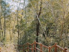 -溪口-滕头旅游景区