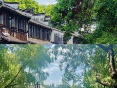 -乌镇景区