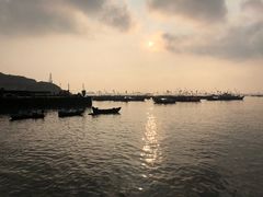 -枸杞岛