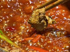 -阳阳老火锅(小南门店)