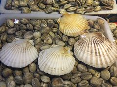 扇贝类-海神·济州岛海鲜料理(天乐广场店)
