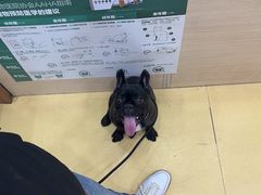 -芭比堂动物医院·犬猫全科·异宠专科(雁塔分院)