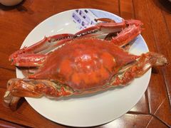 飞蟹-红星渔村(将军石店)