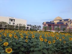 -广州花之恋城堡酒店