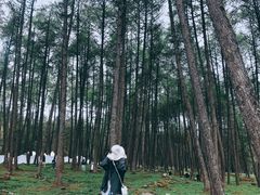 -硗碛藏寨·神木垒景区