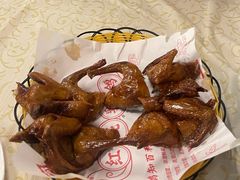 -百利鸽王(紫薇路店)