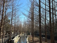-白水寺森林公园
