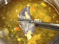 -云海肴汽锅鸡·云南小炒(天津国金汇店)