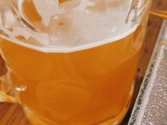 啤酒大炮-管氏翅吧(国展店)