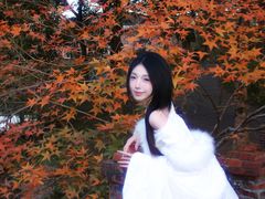 -田野绿世界