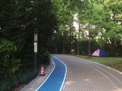 -苏州河梦清园环保主题公园