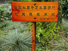 -寂照庵