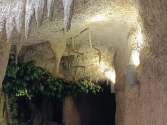 -南山植物园