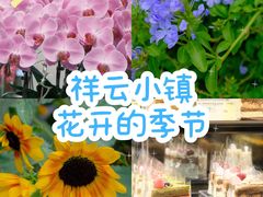 -中粮·祥云小镇