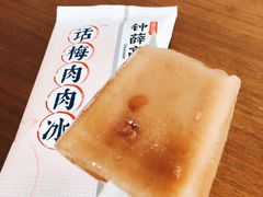 话梅肉肉冰-钟薛高(南头古城店)