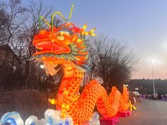 -大塘金香草谷