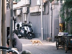 -妙应寺白塔