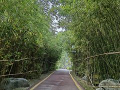 -西安汉城湖景区