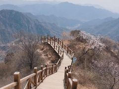 -大岭沟猕猴桃谷风景区
