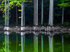 -波尔登森林公园