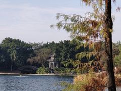 -荔湾湖公园