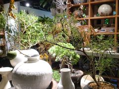 -自由生长植物工作室(深港花卉中心店)