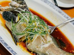 -頂好酒家·经典粤菜(海信广场店)