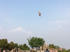 -阳台山森林公园