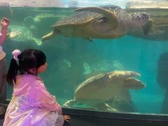 -海合安武汉极地海洋公园