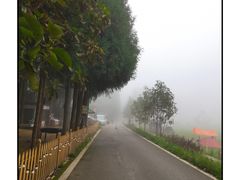 -武陵山森林公园