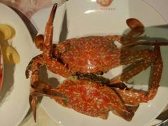 android_upload_pic-芭菲盛宴·环球美食(解放碑英利国际店)