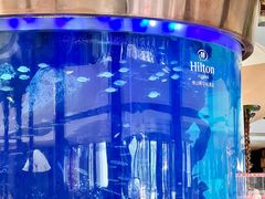 -佛山希尔顿酒店·融誉亚洲美食荟