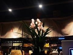 大堂-日上三甘(三里屯店)