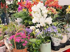 -循礼门鲜花花市(武汉循礼门店)