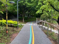 -西昌邛海湿地