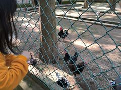 -南京金牛湖风景区